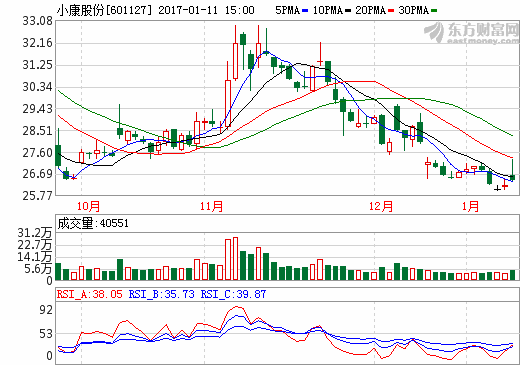 小康股份 小康股份