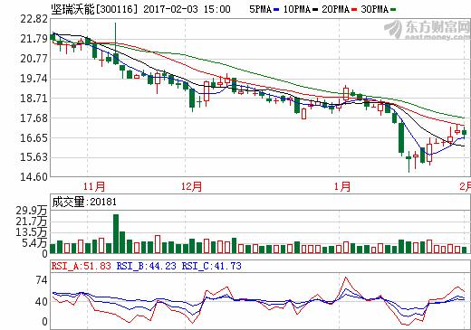 堅瑞沃能 堅瑞沃能