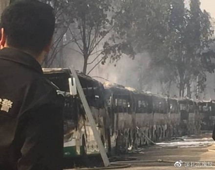 北京蟹島度假村停車場(chǎng)突發(fā)大火 北京蟹島度假村停車場(chǎng)突發(fā)大火