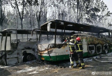 1493680344959181.jpg q7VK-fyetwtt9810577.jpg