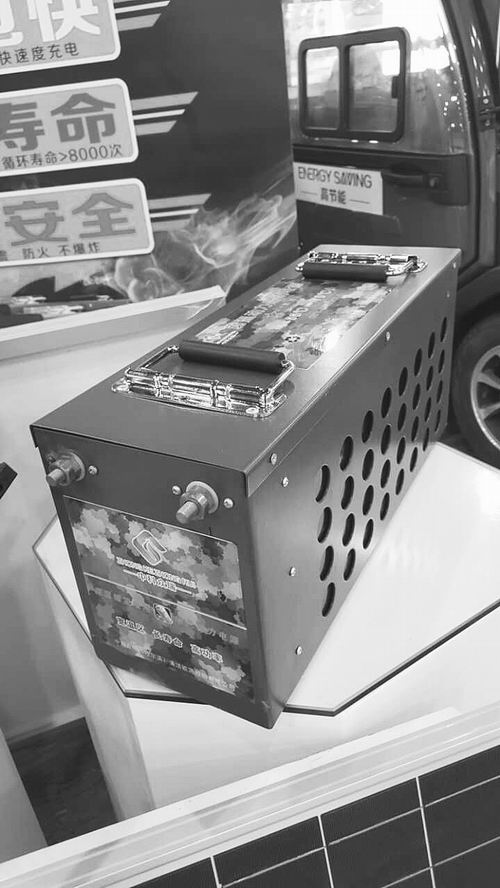 極溫鎳氫動力電池