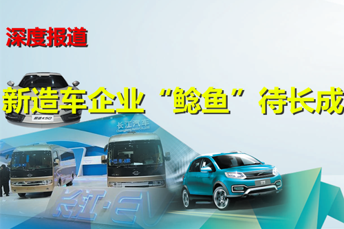“鯰魚效應”未顯資質審核暫停 新造車企業“鯰魚”待長成