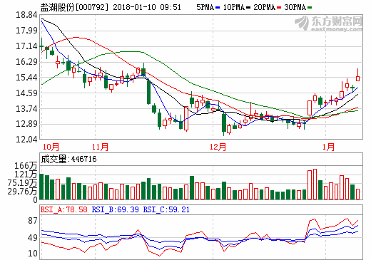 鹽湖股份 鹽湖股份