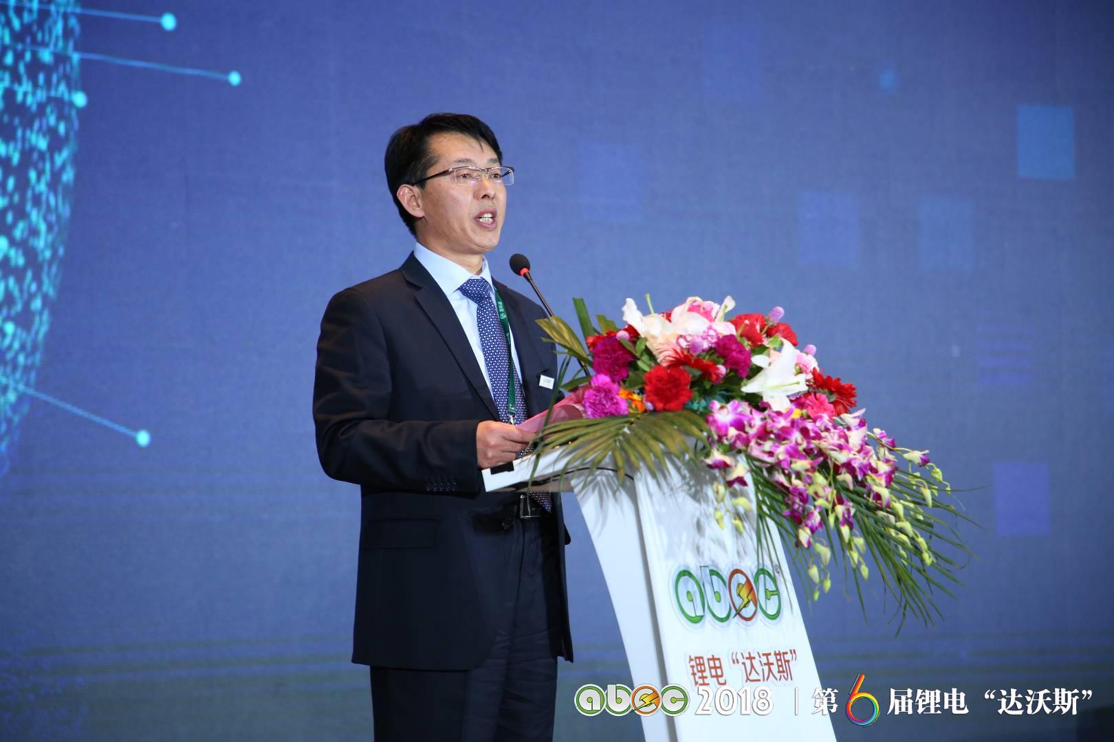 鋰電“達(dá)沃斯”組委會秘書長、中關(guān)村新型電池技術(shù)創(chuàng)新聯(lián)盟秘書長于清教