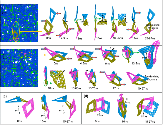 超壓縮與回復(fù)過程中，局部微結(jié)構(gòu)動力學(xué)演化細(xì)節(jié)及其蘊含的介觀機(jī)械互鎖現(xiàn)象