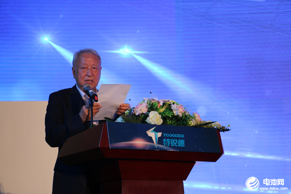 國家新能源汽車創新工程項目專家組組長王秉剛