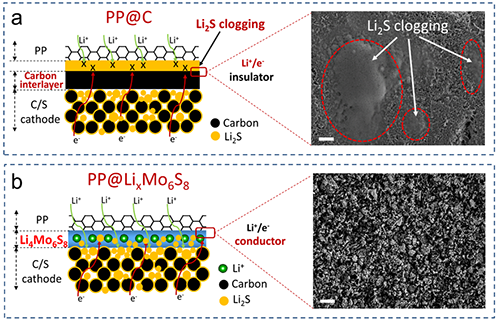 圖4. PP@LixMo6S8功能隔膜與涂覆碳PP@C隔膜對(duì)比圖 圖4. PP@LixMo6S8功能隔膜與涂覆碳PP@C隔膜對(duì)比圖