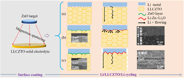 圖1. 通過磁控濺射在固態(tài)電解質(zhì)表層濺射不同厚度的ZnO鍍層對界面穩(wěn)定性及鋰離子傳輸過程影響示意圖。（a）無過渡層；（b）少量ZnO；（c）大量ZnO。