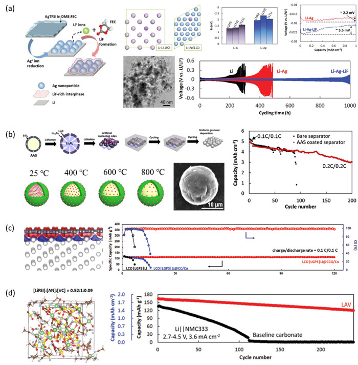 寧波材料所在高比能鋰金屬負(fù)極保護(hù)方面取得系列進(jìn)展 寧波材料所在高比能鋰金屬負(fù)極保護(hù)方面取得系列進(jìn)展