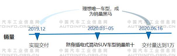 新勢力車企分級明顯 頭部車企各具規劃 新勢力車企分級明顯 頭部車企各具規劃