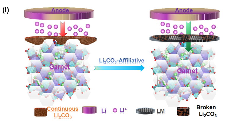 針對親鋰界面層構建的“鈍化”碳酸鋰親附締合及碎化機制 針對親鋰界面層構建的“鈍化”碳酸鋰親附締合及碎化機制