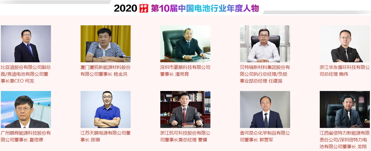 中國電池行業(yè)年度人物