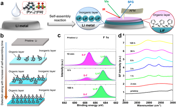 圖2.有序結構SAHL-Li的自組裝演化過程及其界面有機、無機層的表征