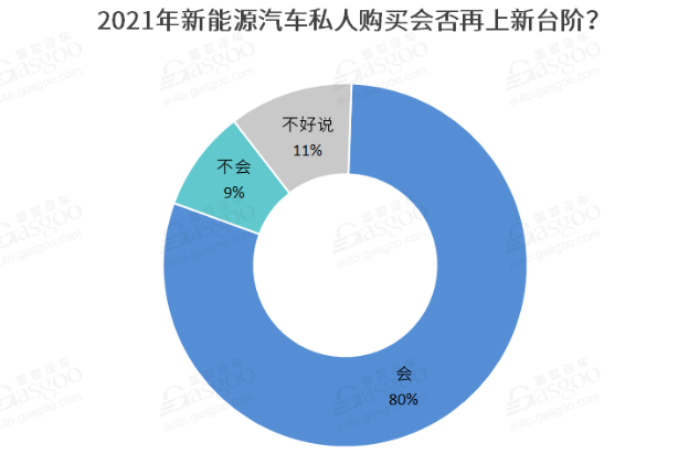 2021新能源車私人消費(fèi)將繼續(xù)提升 新勢力車企備受期待