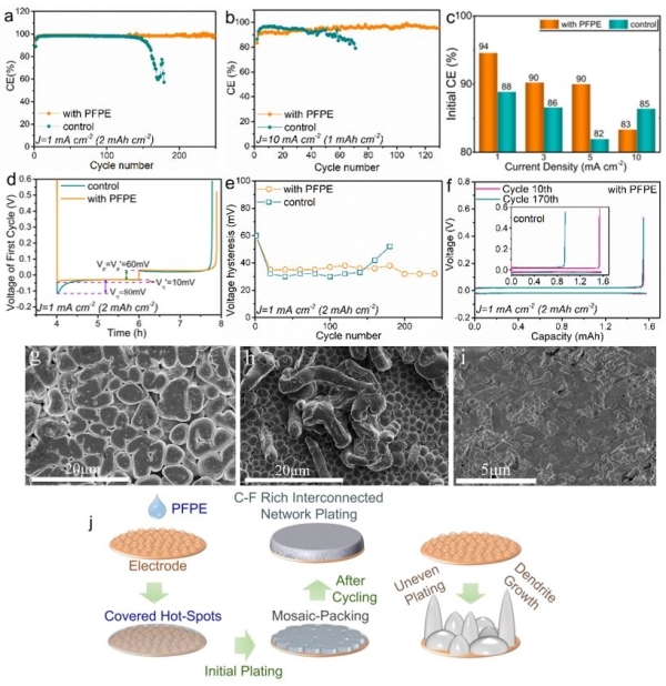 圖2.鋰銅非對(duì)稱(chēng)電池的電化學(xué)性能、鋰在銅表面的沉積形貌和沉積演化
