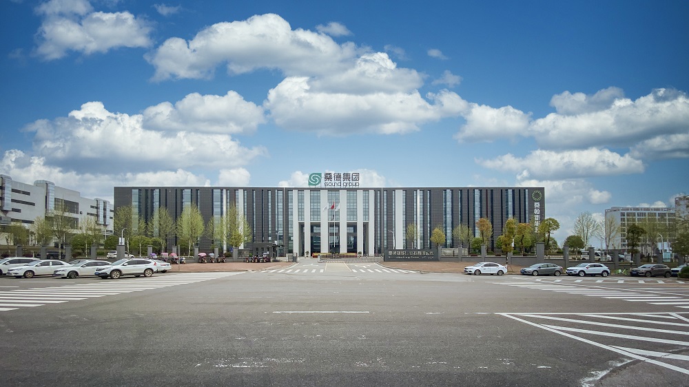 桑頓新能源科技有限公司