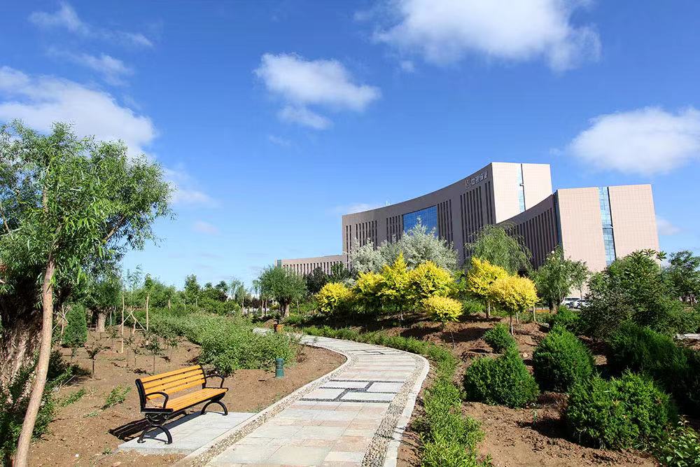 中銀絨業(yè),磷酸鐵鋰,正極材料