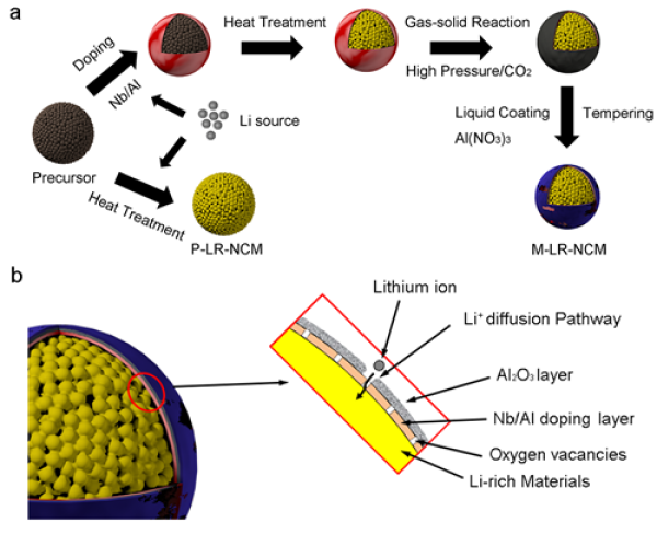 圖3 富鋰錳基正極材料的復合表面改性示意圖 圖3 富鋰錳基正極材料的復合表面改性示意圖
