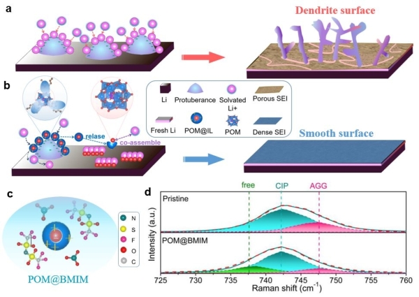 上海硅酸鹽所鋰金屬電池雙功能電解液設(shè)計(jì)研究獲進(jìn)展 上海硅酸鹽所鋰金屬電池雙功能電解液設(shè)計(jì)研究獲進(jìn)展