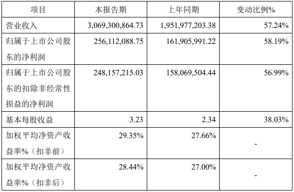 長虹能源2021年年度主要財務數據和指標（單位：元）