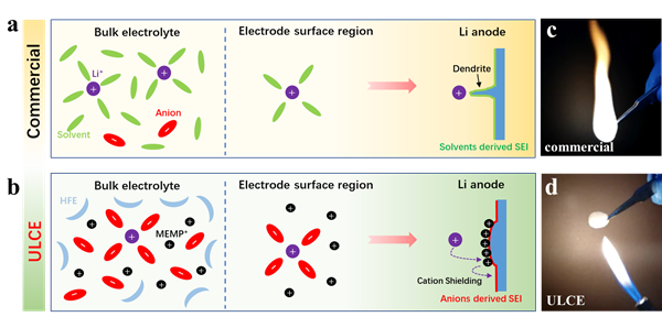 圖1 不同電解液溶劑化結構和鋰金屬界面化學行為流程圖及燃燒性測試 圖1 不同電解液溶劑化結構和鋰金屬界面化學行為流程圖及燃燒性測試