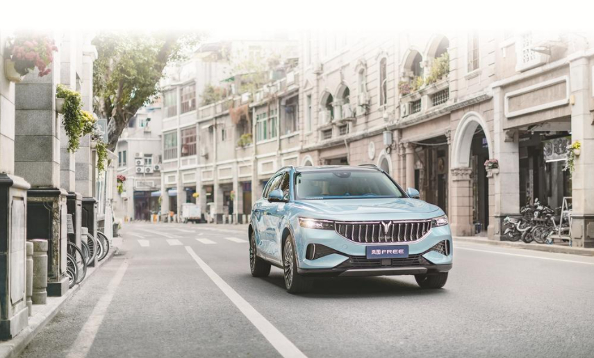 嵐圖汽車 嵐圖汽車