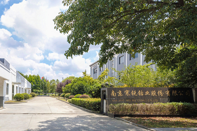 圖片來源:寒銳鈷業(yè) 圖片來源:寒銳鈷業(yè)