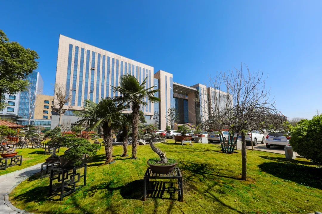 總投資10.8億元！龍佰集團投資加碼釩電池產業