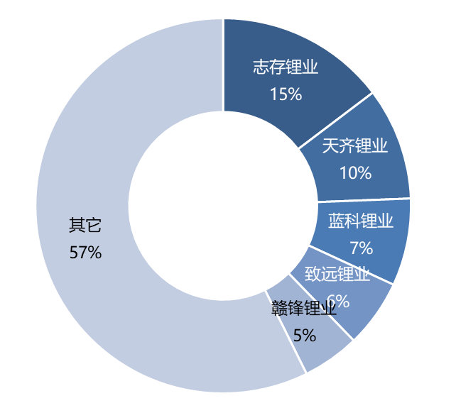 2022年H1中國碳酸鋰生產企業產量排名情況
