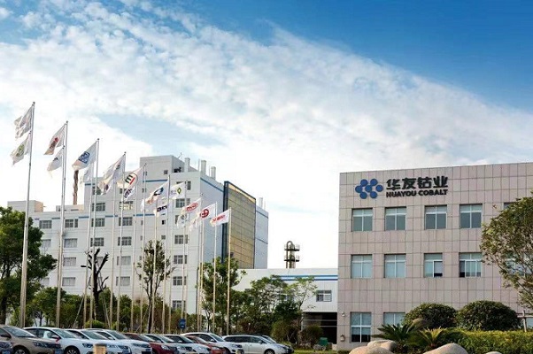 5萬噸！LG化學將與華友鈷業在摩洛哥合建磷酸鐵鋰電池工廠