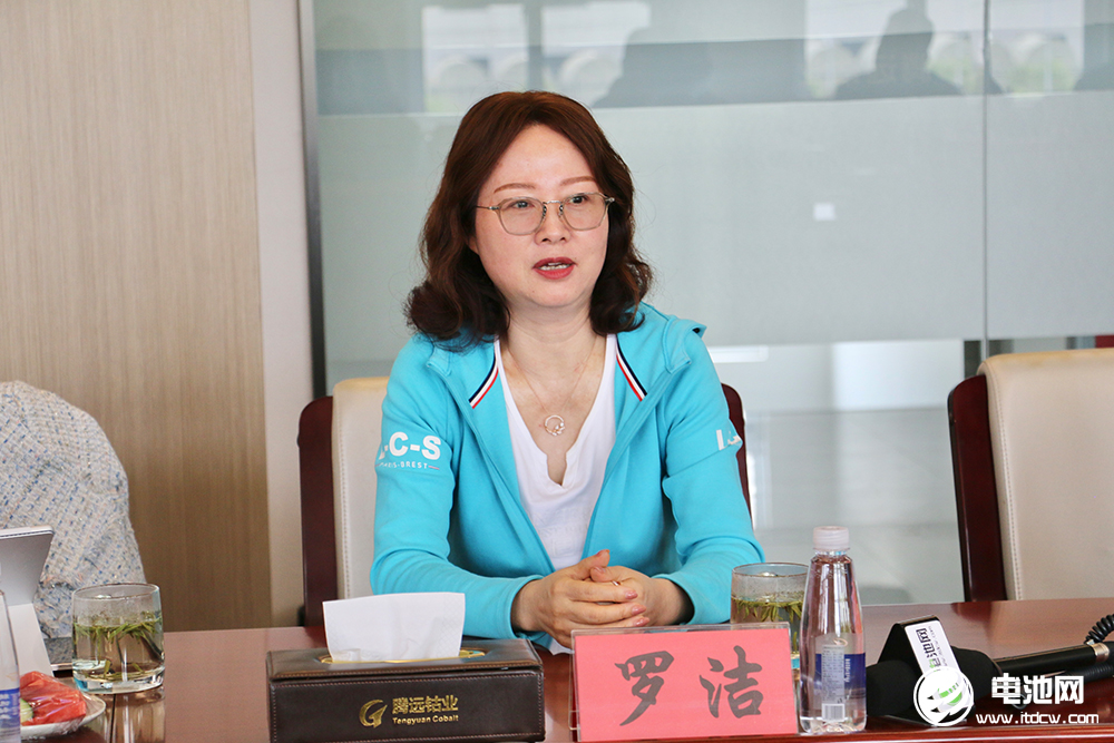 中國電池新能源產(chǎn)業(yè)鏈調(diào)研團一行參觀考察騰遠(yuǎn)鈷業(yè)