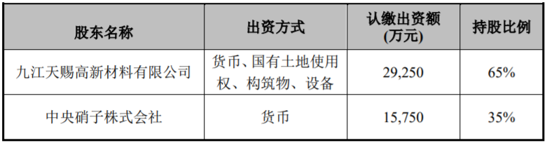 股東出資 股東出資