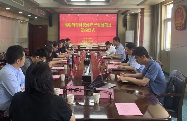 20億元！福瑞尚善科技礦用系列單體電池項目簽約安徽蚌埠