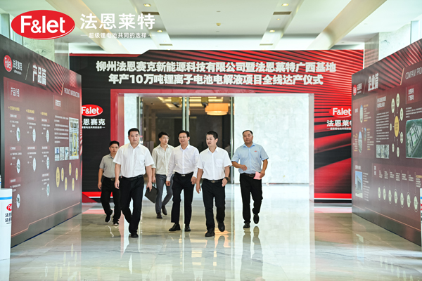 電解液,法恩萊特,法恩賽克 電解液,法恩萊特,法恩賽克