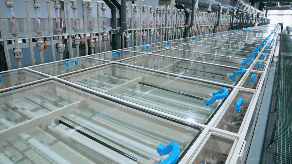 圖片來(lái)源：三孚新科