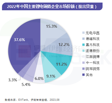 2022年中國主要鋰電銅箔企業(yè)市場份額