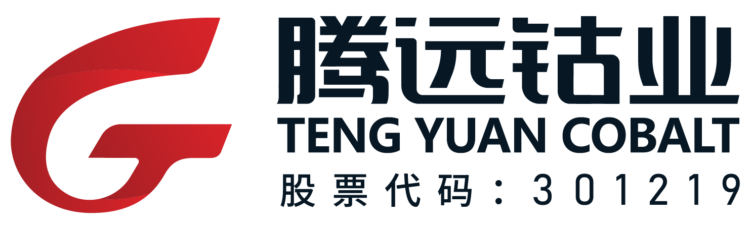 第13屆(2023年)中國(guó)電池行業(yè)優(yōu)秀供應(yīng)商:騰遠(yuǎn)鈷業(yè) 第13屆(2023年)中國(guó)電池行業(yè)優(yōu)秀供應(yīng)商:騰遠(yuǎn)鈷業(yè)