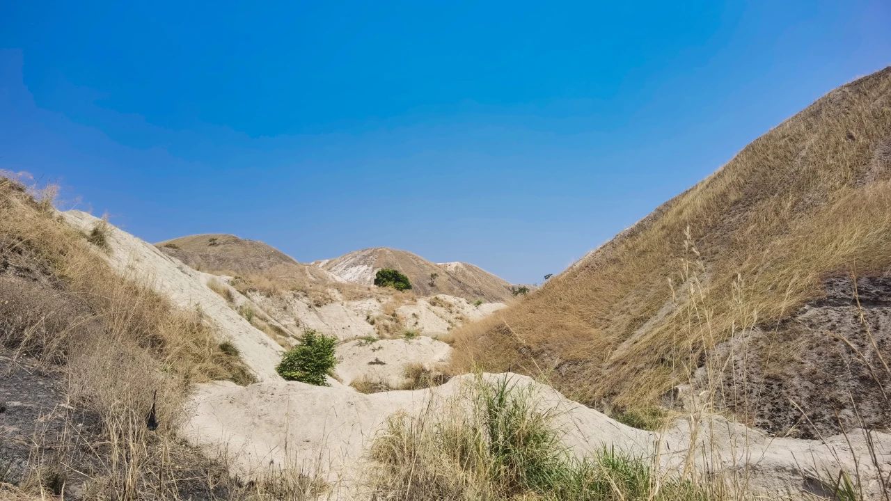 圖片來源：紫金礦業