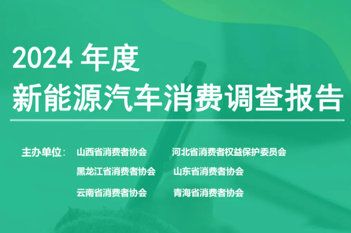 2024年度新能源汽車消費調(diào)查：15萬元以下的價格更受青睞