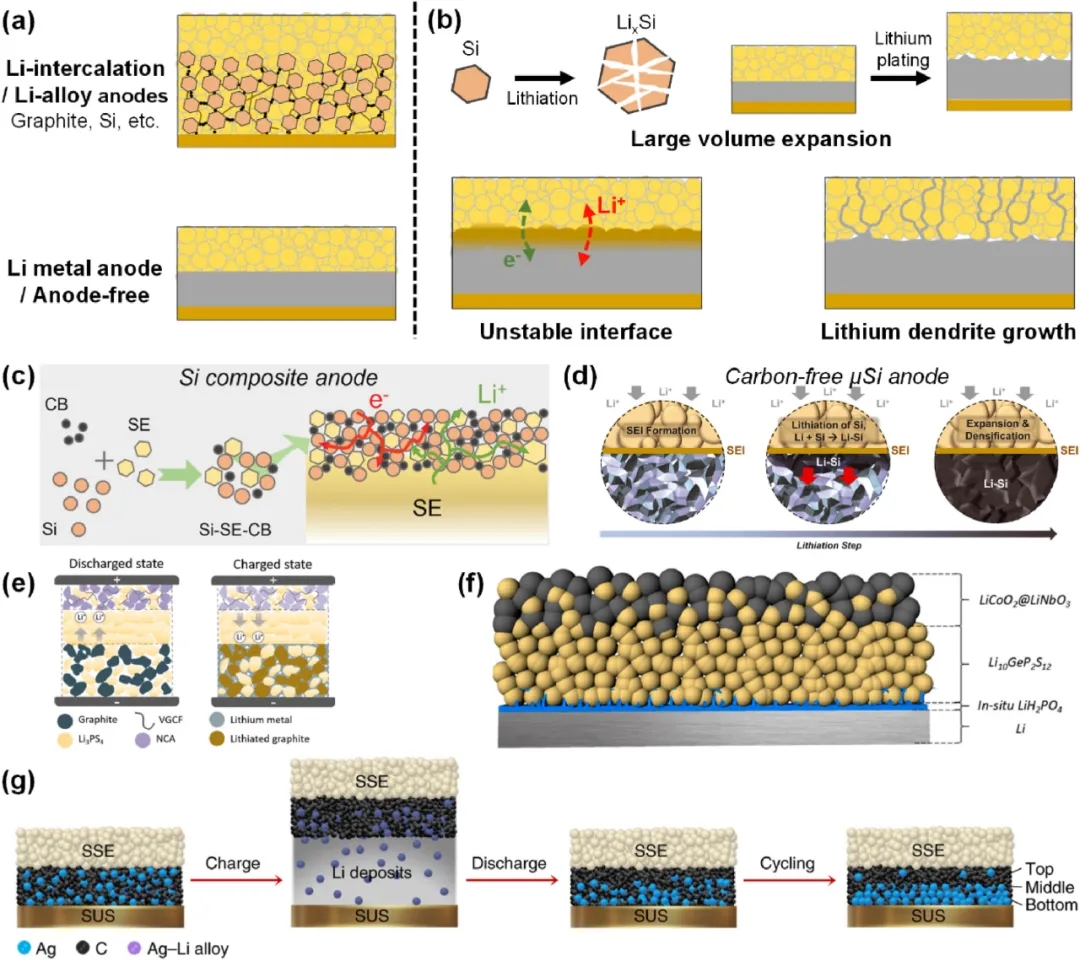 圖5 硫化物基ASSB高比容負極存在的問題及最新進展。
