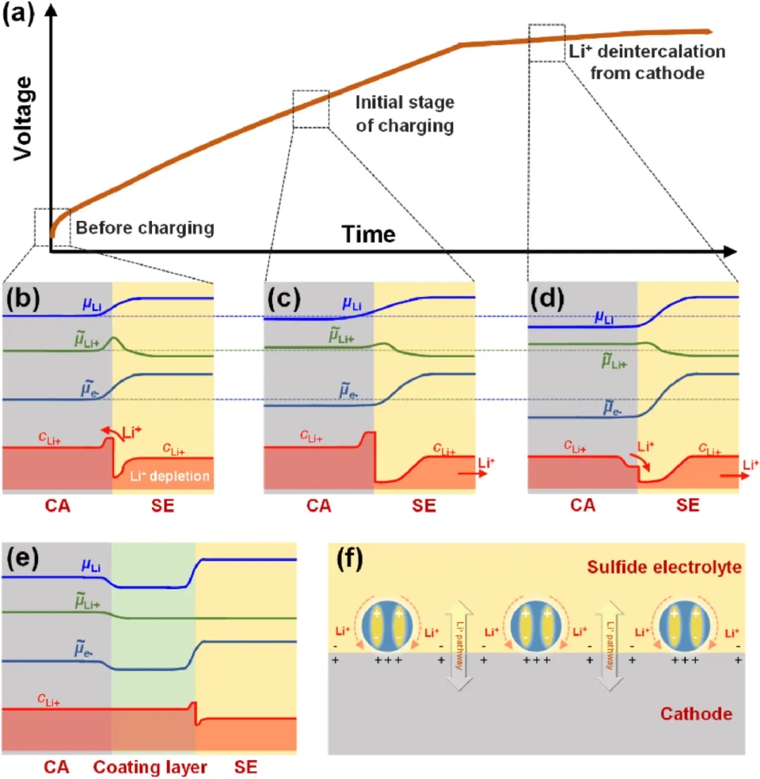 圖6 正極（CA）|SE界面空間電荷層的演化及解決方案。