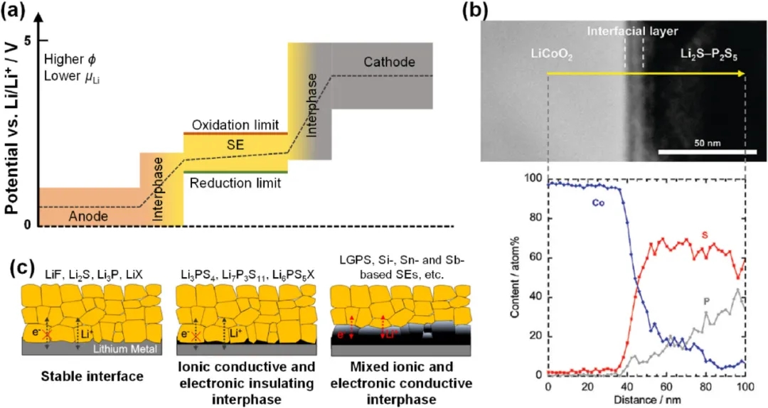 圖7 電極和硫化物SE之間界面反應。