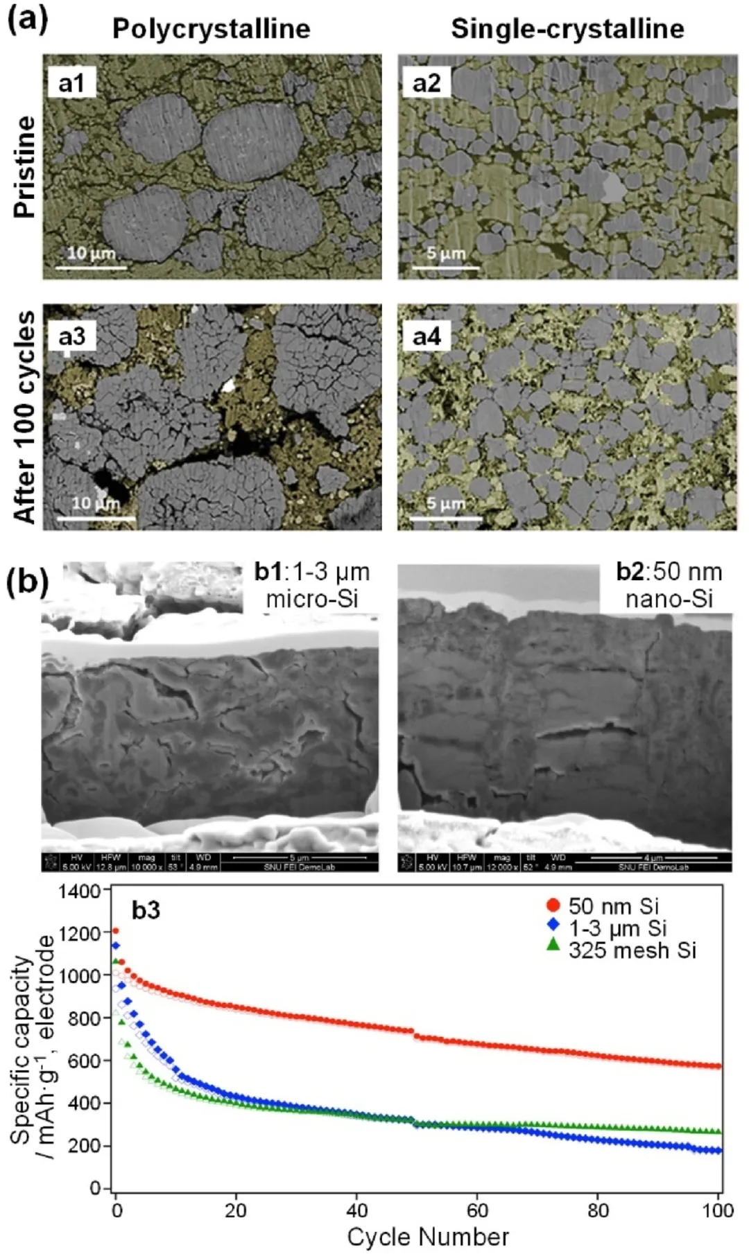 圖12 硫化物基ASSB的機械失效。