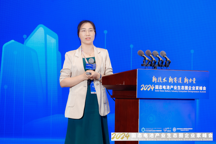 諾德新材料股份有限公司研究院院長、博士丁瑜 諾德新材料股份有限公司研究院院長、博士丁瑜