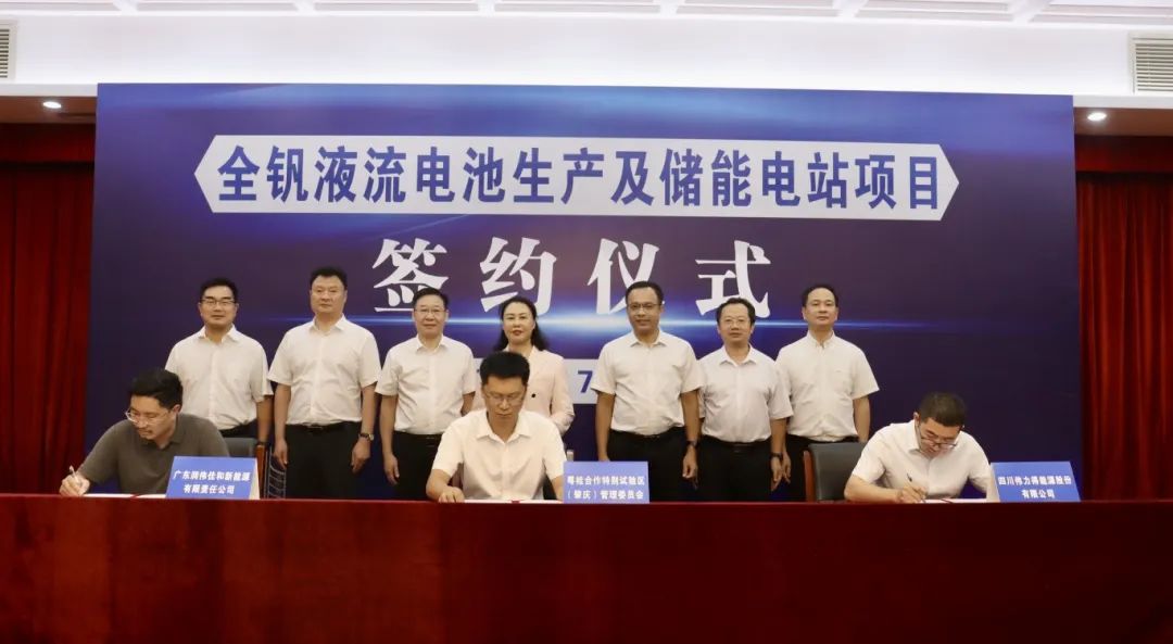 儲能,全釩液流電池,偉力得