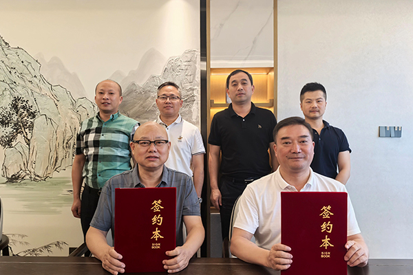 賽德麗,新能源,正極材料