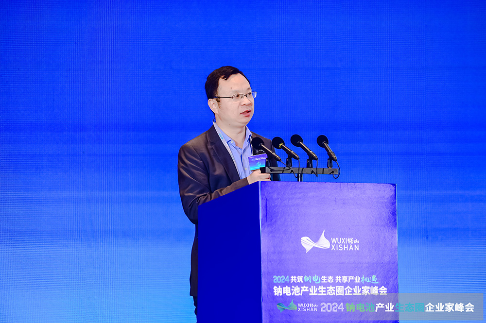 國家發(fā)展改革委能源研究所可再生能源中心主任趙勇強