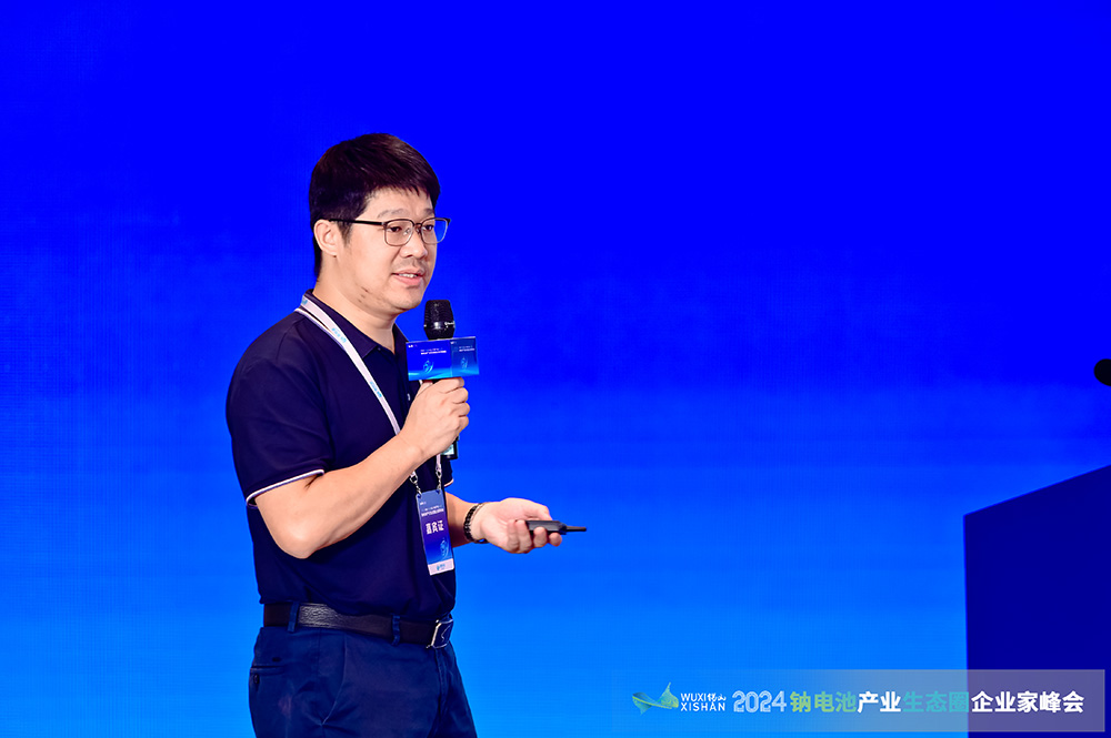 中南大學(xué)教授/博士生導(dǎo)師王海燕