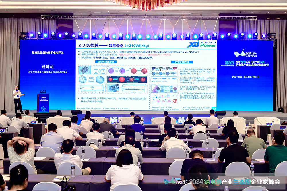 2024中國（無錫）鈉電池產業生態圈企業家峰會現場 