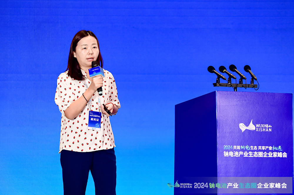 深圳中興新材技術(shù)股份有限公司副總經(jīng)理、研究院院長(zhǎng)張輝